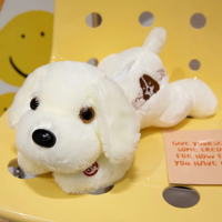 TEMU recalls Dog Plush Toy sold on the TEMU platform