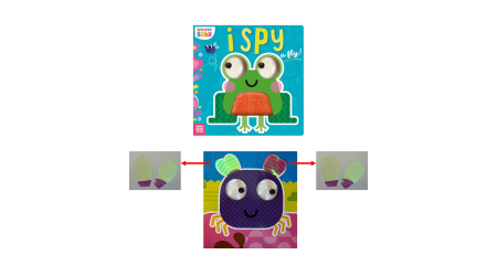 I Spy a Fly! board book