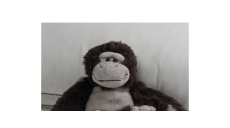 Monkey teddy
