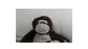Monkey teddy Monkey teddy