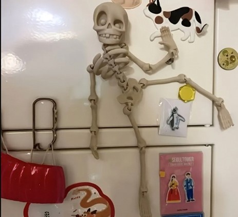 Skeleton refrigerator magnet Skeleton refrigerator magnet