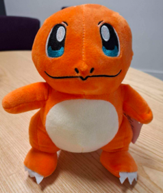 Tergiversation Limited TA Pirates Cove recalls Plush Toy