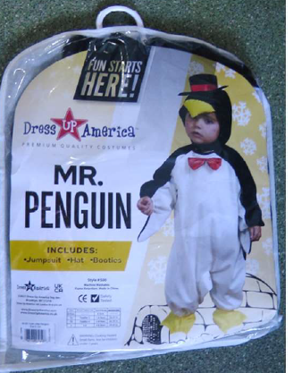 Product Safety Information Notice on certain Dress Up America Children’s Costumes sold on the Amazon Platform (2/2)