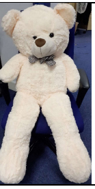Product Safety Information Notice on certain Toys sold on the Amazon platform